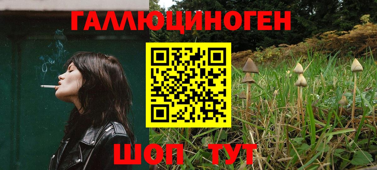 Псилоцибиновые грибы GOLDEN TEACHER Сорочинск