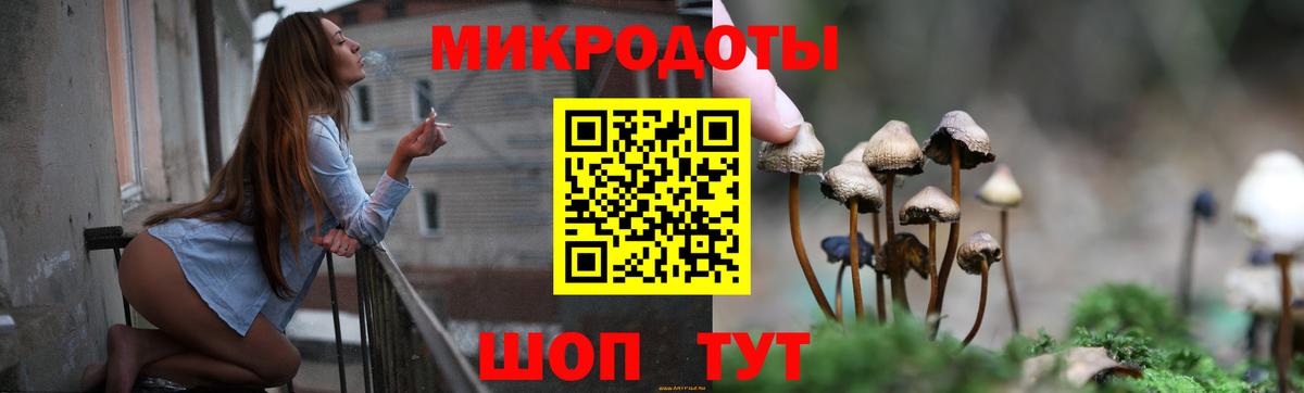 Галлюциногенные грибы Cubensis  Вход с VPN  Сорочинск 