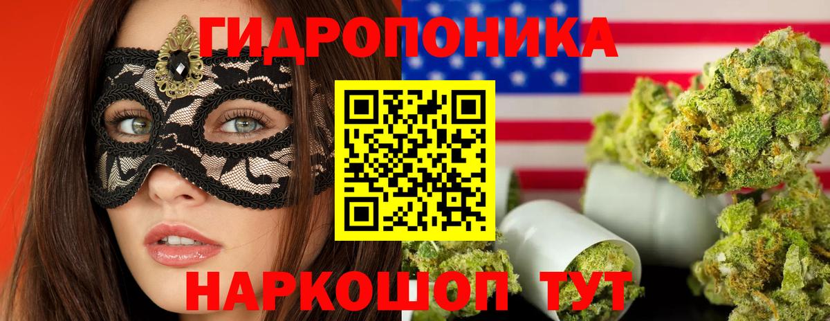 Бошки Шишки марихуана Сорочинск